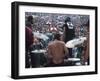 Woodstock-null-Framed Photographic Print