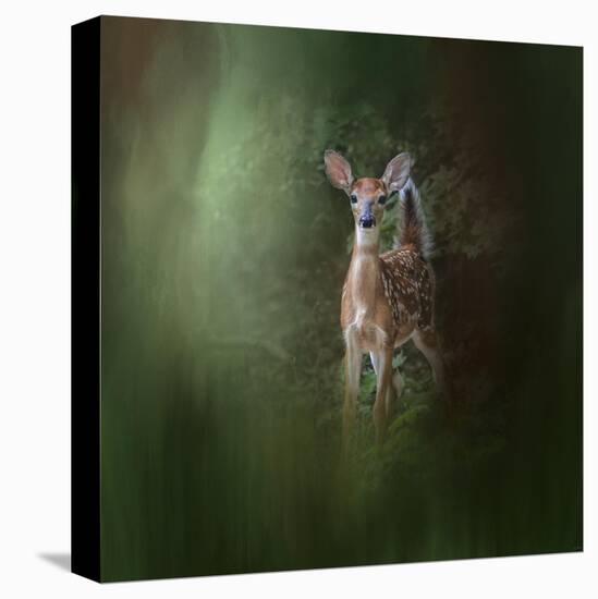 Woodsy Summer Fawn-Jai Johnson-Stretched Canvas