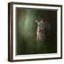 Woodsy Summer Fawn-Jai Johnson-Framed Giclee Print