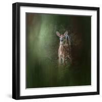 Woodsy Summer Fawn-Jai Johnson-Framed Giclee Print