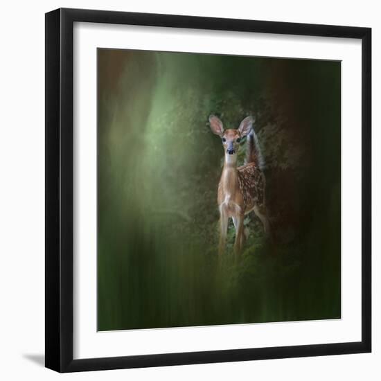 Woodsy Summer Fawn-Jai Johnson-Framed Giclee Print