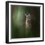 Woodsy Summer Fawn-Jai Johnson-Framed Giclee Print