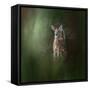 Woodsy Summer Fawn-Jai Johnson-Framed Stretched Canvas