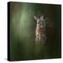 Woodsy Summer Fawn-Jai Johnson-Stretched Canvas