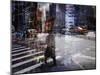 Woody Allen Crossing-V B-Mounted Photographic Print