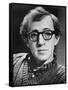 Woody Allen, Interiors, 1978-null-Framed Stretched Canvas