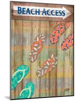 Woody Beach Access-Julie DeRice-Mounted Art Print