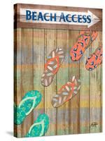 Woody Beach Access-Julie DeRice-Stretched Canvas