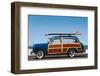 Woody-Profile-jgroup-Framed Photographic Print
