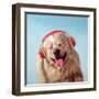 Woof Jam-Lucia Heffernan-Framed Art Print