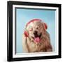 Woof Jam-Lucia Heffernan-Framed Art Print