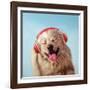 Woof Jam-Lucia Heffernan-Framed Art Print