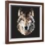 Woof-Lora Kroll-Framed Art Print