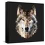 Woof-Lora Kroll-Framed Stretched Canvas