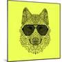 Woolf in Black Glasses-Lisa Kroll-Mounted Premium Giclee Print