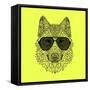 Woolf in Black Glasses-Lisa Kroll-Framed Stretched Canvas