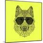 Woolf in Black Glasses-Lisa Kroll-Mounted Art Print