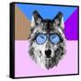 Woolf in Blue Glasses-Lisa Kroll-Framed Stretched Canvas