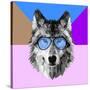 Woolf in Blue Glasses-Lisa Kroll-Stretched Canvas