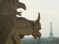 Gargoyles on Notre Dame Cathedral, and Beyond, the Eiffel Tower, Paris, France, Europe-Woolfitt Adam-Photographic Print