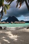 Hammock on the Beach-Woolfy-Photographic Print