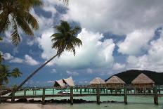 French Polynesia-Woolfy-Photographic Print