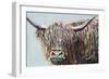 Woolly Highland I-Carolee Vitaletti-Framed Art Print