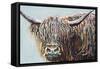 Woolly Highland I-Carolee Vitaletti-Framed Stretched Canvas