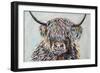 Woolly Highland II-Carolee Vitaletti-Framed Art Print