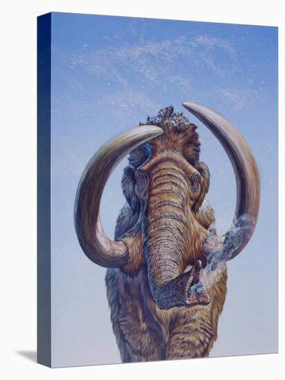 Woolly Mammoth Charging, Pleistocene Epoch-null-Stretched Canvas