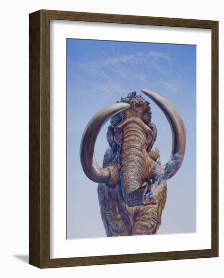 Woolly Mammoth Charging, Pleistocene Epoch-null-Framed Art Print