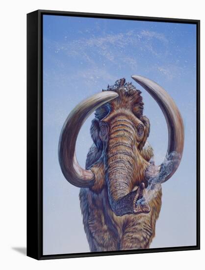 Woolly Mammoth Charging, Pleistocene Epoch-null-Framed Stretched Canvas