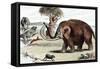 Woolly Mammoth (Mammuthu), 1892-null-Framed Stretched Canvas