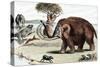 Woolly Mammoth (Mammuthu), 1892-null-Stretched Canvas