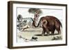 Woolly Mammoth (Mammuthu), 1892-null-Framed Giclee Print