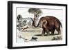 Woolly Mammoth (Mammuthu), 1892-null-Framed Giclee Print