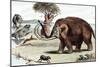 Woolly Mammoth (Mammuthu), 1892-null-Mounted Giclee Print