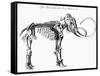 Woolly Mammoth (Mammuthu) Skeleton, 1830-null-Framed Stretched Canvas