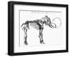 Woolly Mammoth (Mammuthu) Skeleton, 1830-null-Framed Giclee Print