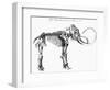 Woolly Mammoth (Mammuthu) Skeleton, 1830-null-Framed Giclee Print