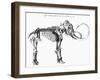 Woolly Mammoth (Mammuthu) Skeleton, 1830-null-Framed Giclee Print