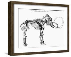 Woolly Mammoth (Mammuthu) Skeleton, 1830-null-Framed Giclee Print