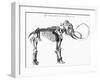 Woolly Mammoth (Mammuthu) Skeleton, 1830-null-Framed Giclee Print