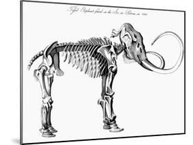 Woolly Mammoth (Mammuthu) Skeleton, 1830-null-Mounted Giclee Print