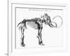 Woolly Mammoth (Mammuthu) Skeleton, 1830-null-Framed Giclee Print