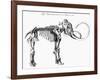 Woolly Mammoth (Mammuthu) Skeleton, 1830-null-Framed Giclee Print