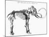 Woolly Mammoth (Mammuthu) Skeleton, 1830-null-Mounted Giclee Print