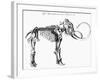 Woolly Mammoth (Mammuthu) Skeleton, 1830-null-Framed Giclee Print