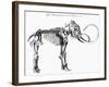 Woolly Mammoth (Mammuthu) Skeleton, 1830-null-Framed Giclee Print