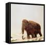 Woolly Mammoth Prehistoric Reconstruction-Arthur Hayward-Framed Stretched Canvas